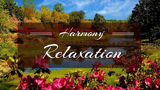 Lunar Path: Soft Music for Evening Relaxation