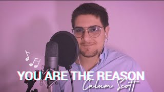 You Are The Reason  Calum Scott cover Version Di Edoardo Perrone