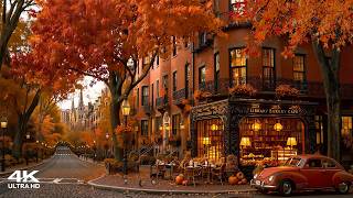 The Road to a Hidden Autumn Café in Beacon Hill 🍁 Smooth Jazz & Bossa Nova for Relaxation