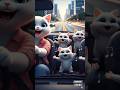 Cute Dancing Cats in Car 😻🚗| Funny Cat Family Vibes|#Shorts#CuteCats#FunnyCats#DancingCats#CatShorts