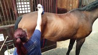 Centro Ippico San Martino Presentazione Video Drone