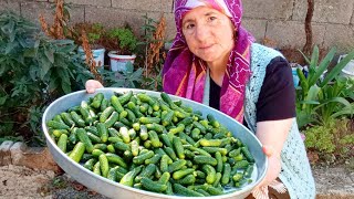 PICKLE THAT RECEIVES A LOT OF REQUESTS FROM ME ▶ Pickled Gherkin Cucumber