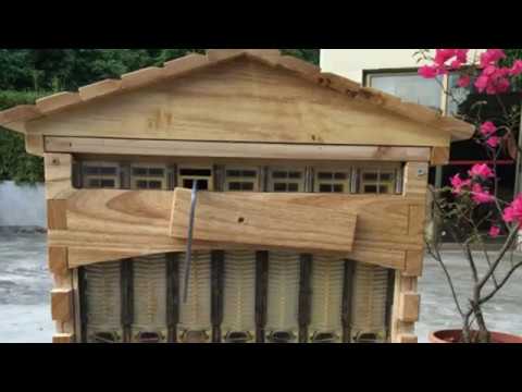 automatic bee hives automatic bee hives