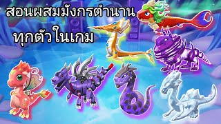 สอนผสมมังกรระดับตำนานที่มีในเกมทุกตัว - Dragon Mania Legends screenshot 5
