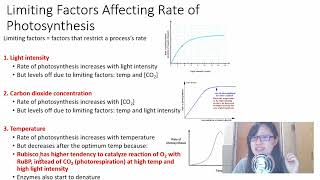 Chap 13 (Part 3) Limiting Factors | Cambridge A-Level 9700 Biology