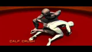 Master Moves of Sambo Russian Extreme Fighting Human Weapon