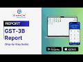 GSTR-3B Report Explained | GST 3B Summary &amp; Filing Data – Chandni Software