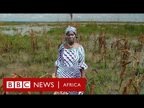 'I'm a farmer and I lost everything to drought and floods' I BBC Africa