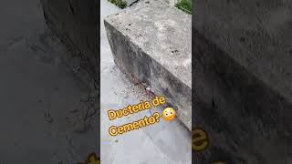 Los Habian Visto  Antes? #refrigeración #hvactech #hvaclife #hvactechnician #hvac #hvacschool