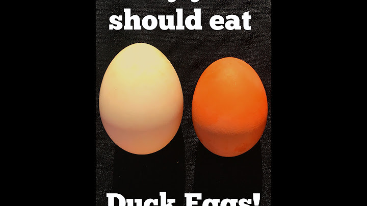 Why You Should Eat Duck Over Chicken Eggs
