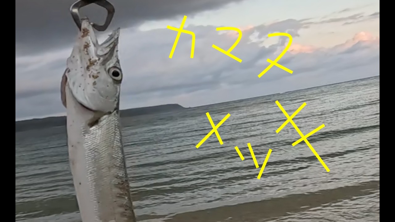 カマス　メッキ3匹　沖縄釣り