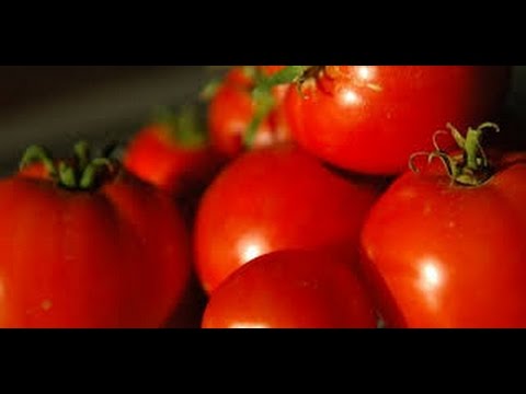 Molho De Tomate Com Manjericão