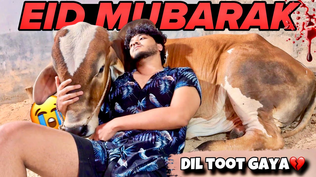 LAST VIDEO OF BAKRA EID😔| PAKISTAN | EMOTIONAL🥹💔| ABDUL SAMMI