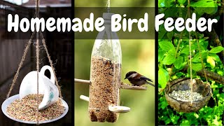12 Amazing Homemade Bird Feeders Ideas | Do It Yourself