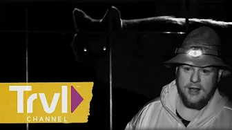 Best of Season 5 | Mountain Monsters | Travel Channel