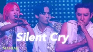 “Silent Cry” 사클🤍(Stray Kids 2nd World Tour ‘MANIAC’ in Seoul) 220429 Resimi