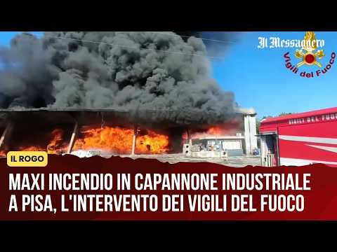 Video Maxi incendio in capannone industriale a Pisa, l'intervento dei Vigili del Fuoco
