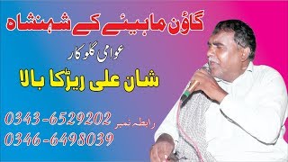 Shan Ali Rerka Bala |New Qaseeda  2019 | Saif Sound