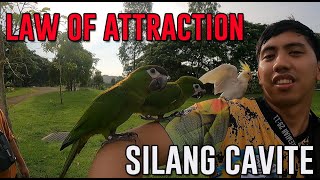 LAW OF ATTRACTION | MAG KAKAROON DIN AKO NIYAN