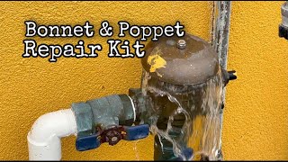 Replacing a Febco 7651 bonnett and poppet, just showing how easy it is