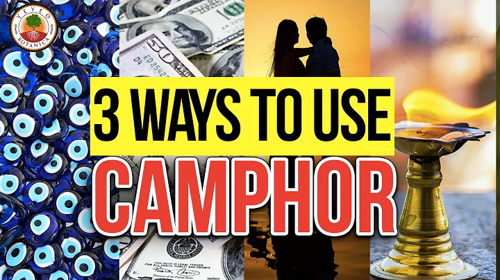 CAMPHOR/Alcanfor...  3 EASY WAYS TO GET  PROTECTIO...