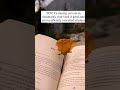 Rain and book #studywithme #booksummary #happyreading #love #book #rain #rainsounds #booklover