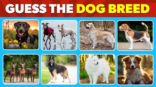 Guess The Dog Breed Challenge (Daily Quiz) | Easy, Medium, Hard Levels