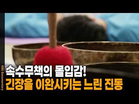 "속수무책으로 빠져든다" 전국의 아이들이 <strong>오대산</strong> 천년 숲에 모여 눈을 감은 이유! | KBS 다큐온 20220916 방송