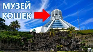 Малайзия. Кучинг. Самый Большой Музей Кошек в Мире. От Кошачьей Еды и Статуэток до Чучел Котов Малайзия. Кучинг. Самый Большой Музей Кошек в Мире. От Кошачьей Еды и Статуэток до Чучел Котов