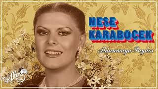 Neşe Karaböcek - Aldanmaya Paydos