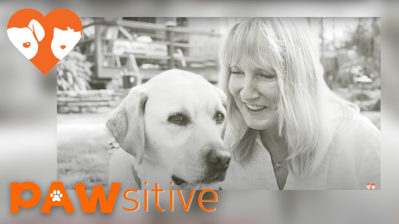 puppy paradise A Wartime Hero Needs A Hero Of Her Own