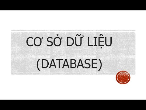 Video: Một cuộc gọi cơ sở dữ liệu là gì?