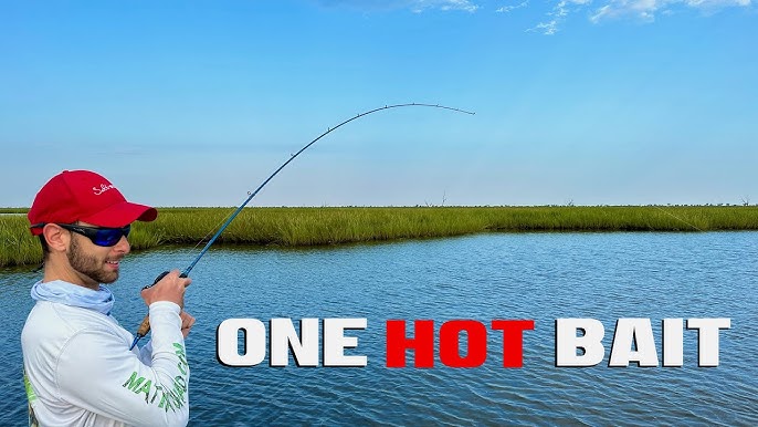 5 Best Rigs for Speckled Trout Fishing! 