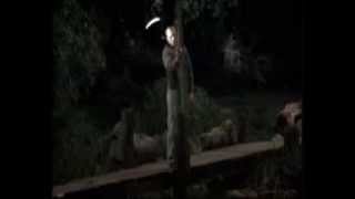 Jason Voorhees Tribute Video XI - Praise Of Death