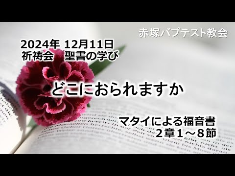 どこにおられますか　マタイによる福音書2章1〜8節 2024/12/11 WED. 赤塚教会祈祷会 聖書の学び