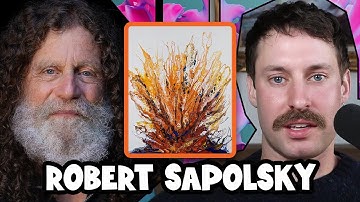 Chaos Theory, Complexity, and Free Will | Robert Sapolsky