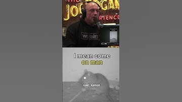 Joe Rogan AMAZED By Rat Tricking Mouse Trap - Smartest Mouse Ever? #joerogan #mousetrap #shorts