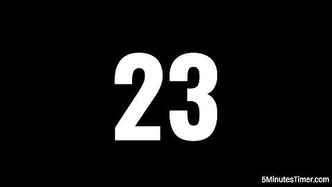 23 Second Timer - Precise & Reliable Countdown