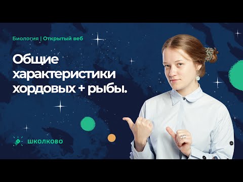 Общие характеристики хордовых + рыбы для ЕГЭ-2023 по биологии