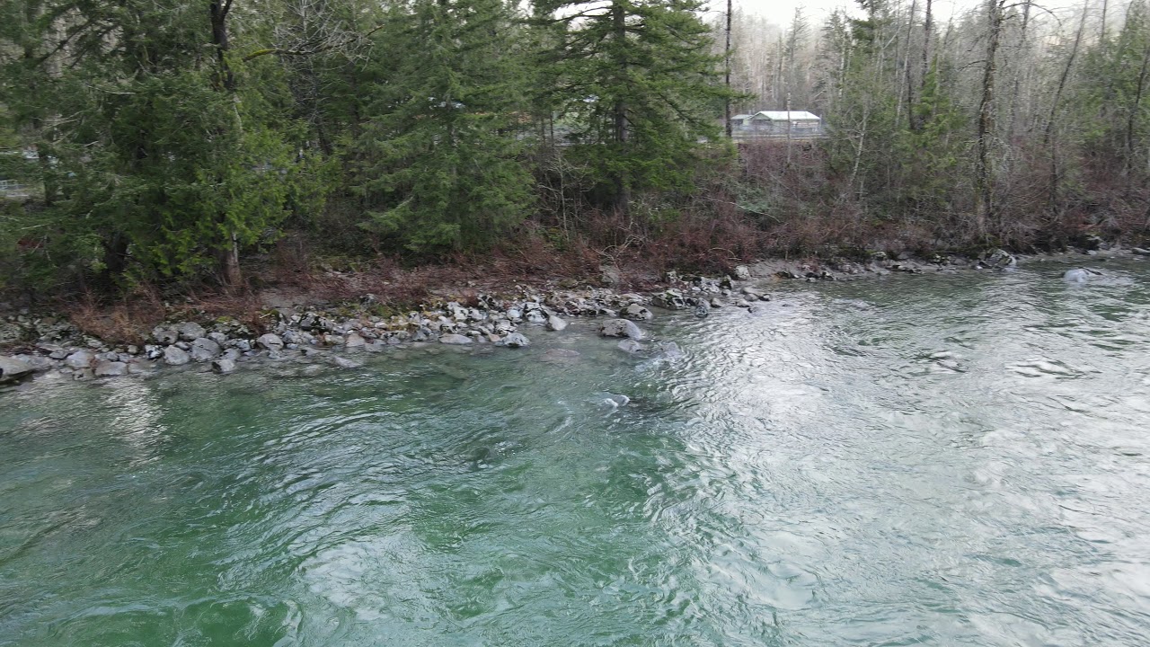 Skykomish river near Gold Bar (04), WA YouTube