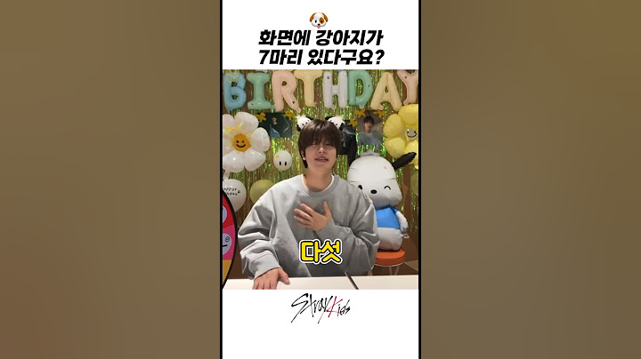 [스트레이키즈/승민]🐶화면에 강아지가 7마리 있다구요?