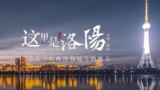 2020央视中秋晚会落户洛阳 绝美宣传片曝光！丨CCTV中秋晚会