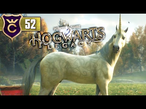 ПОЙМАЛИ ЕДИНОРОГА! Hogwarts
