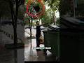 The Most Satisfying Way to Throw Away Trash #shorts