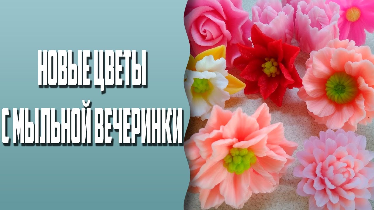 Мыловарение | Новые цветы с сайта Мыльная вечеринка | Распаковка ...