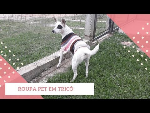 ROUPA PET EM TRICÔ TAMANHO G | CLARISSE FRONER