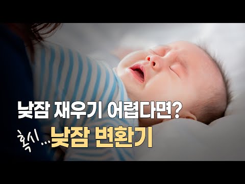 낮잠 재우기 어렵다면? 꼭 확인해 보세요! #낮잠변환기