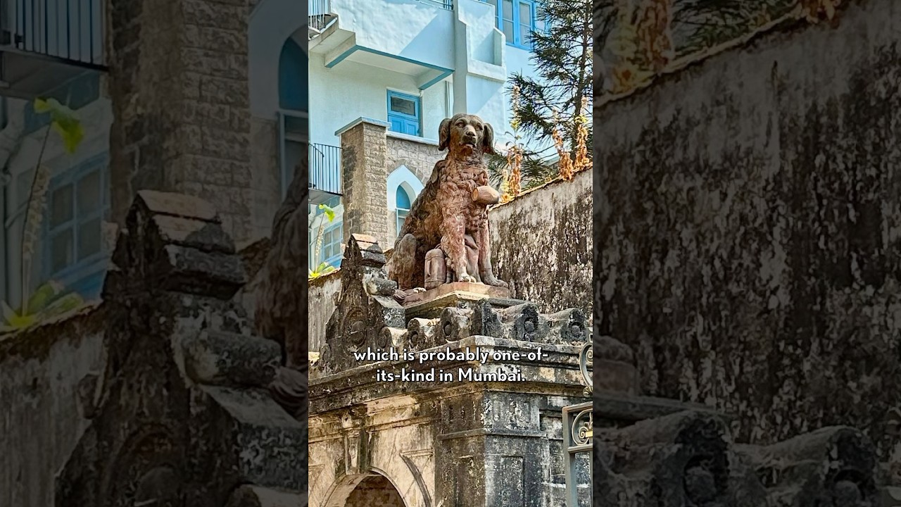 The dog statue at the Tata's House | 