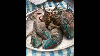 Hostal Sancocho de Mariscos en Cayo paloma Kusapin comarca Ngöbe Bugle