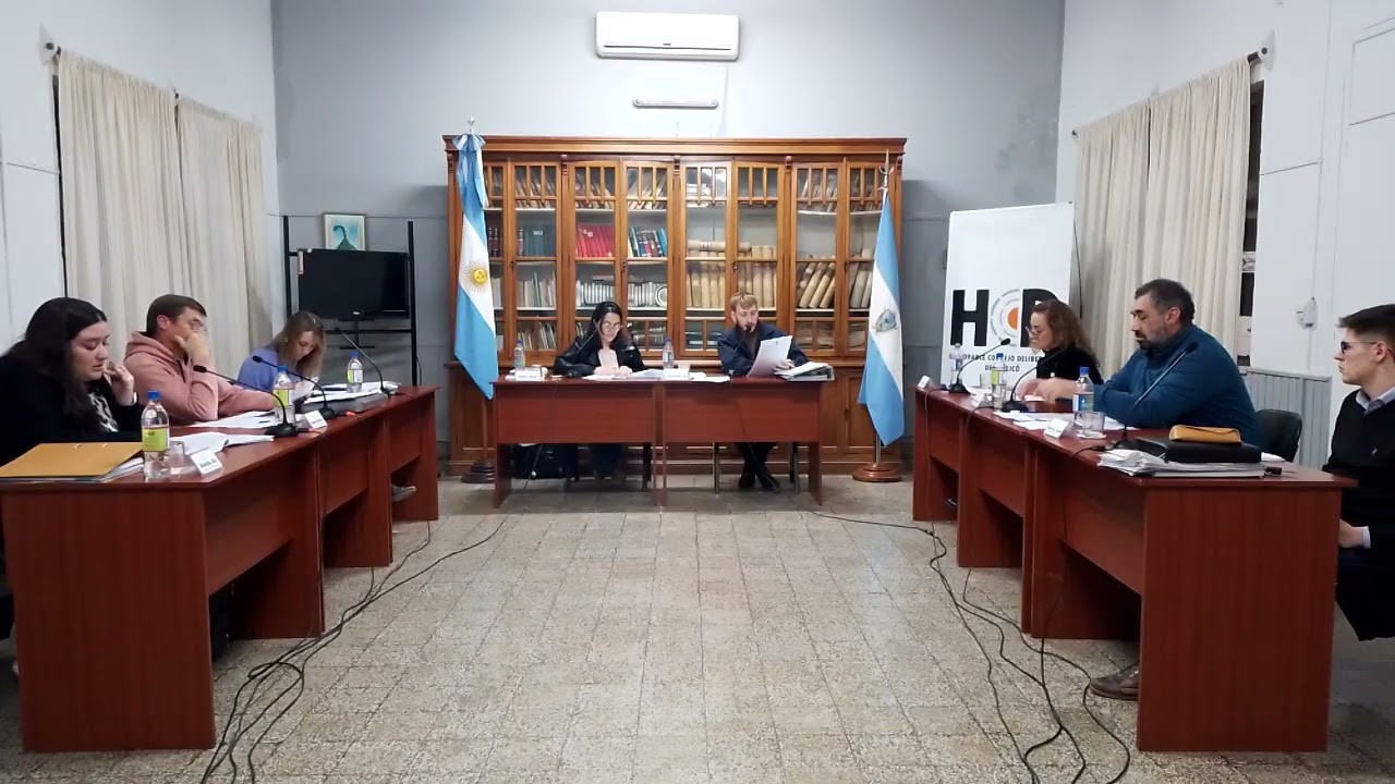 HCD. Sesión Ordinaria N°20. 14/08/2025